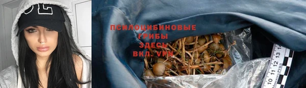 гидра Алексин