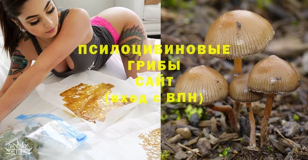 каннабис Алзамай