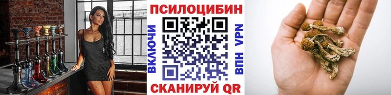 Псилоцибиновые грибы ЛСД  OMG сайт  Рыбное  купить наркотики цена 